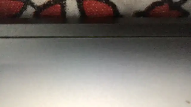 paula19800 online show from November 25, 2025, 6:19 pm