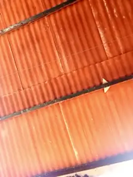 Snapshot of Goofygoody17 chatting on February 8, 2026, 10:29 am Goofygoody17 online show from February 8, 2026, 10:29 am