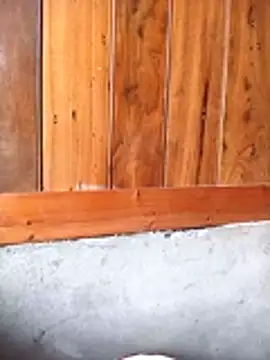 Mai lovely online show from February 27, 2026, 3:50 am