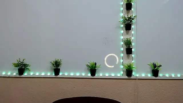 Hoot Dude  online show from November 19, 2025, 2:28 pm