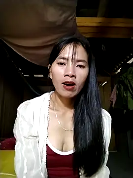 lmc-zz online show from November 1, 2025, 1:29 am