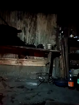 bree-zz online show from April 7, 2026, 10:31 pm