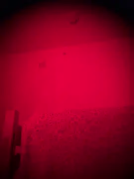 Snapshot of bellacagyal chatting on February 2, 2026, 9:19 am bellacagyal online show from February 2, 2026, 9:19 am