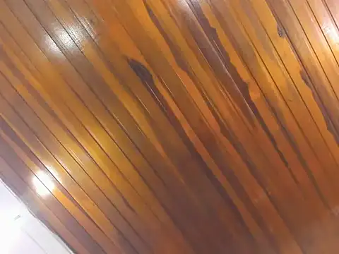 Snapshot of AliceCat_01 chatting on November 14, 2025, 4:33 am AliceCat 01 online show from November 14, 2025, 4:33 am