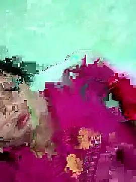 Na shreya online show from April 12, 2026, 3:28 pm