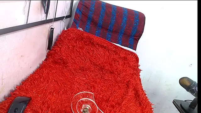 codorniz2025 online show from January 8, 2026, 8:33 pm