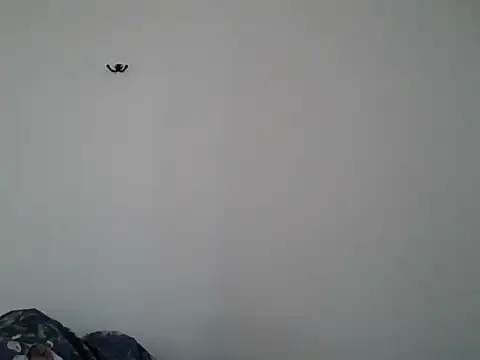Snapshot of VanBeatPL chatting on October 10, 2025, 8:57 am VanBeatPL online show from October 10, 2025, 8:57 am