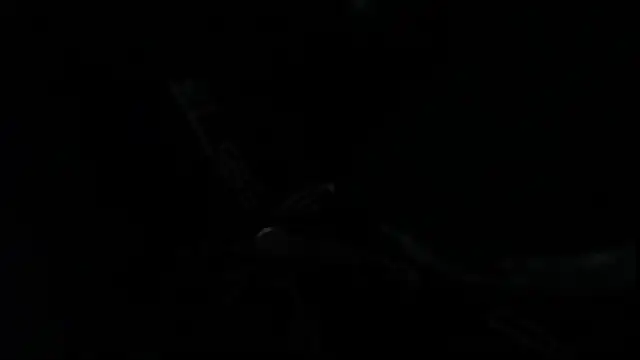 Snapshot of SteveDickson_ chatting on October 14, 2025, 9:15 pm SteveDickson online show from October 14, 2025, 9:15 pm