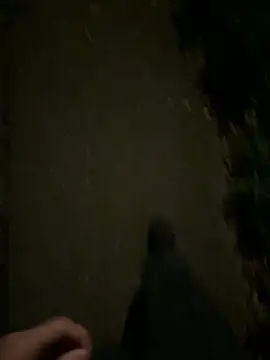 Snapshot of ncjuice_ chatting on October 31, 2025, 10:00 pm ncjuice online show from October 31, 2025, 10:00 pm