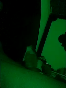 Snapshot of Buddha289 chatting on February 22, 2026, 9:41 am Buddha289 online show from February 22, 2026, 9:41 am