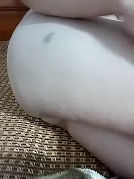 tulip-bae online show from November 19, 2025, 7:08 am