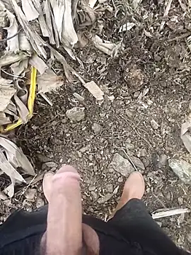 Sikici0734 online show from February 2, 2026, 8:57 am