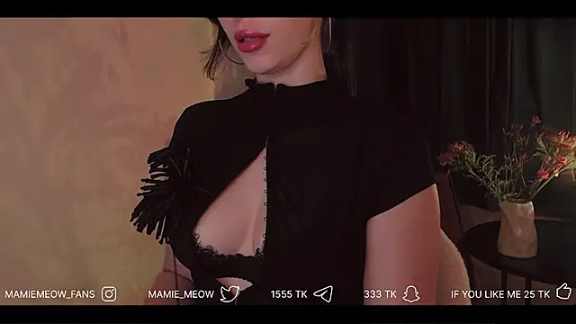 Snapshot of Mamiemeow chatting on April 2, 2026, 3:31 pm Mamiemeow online show from April 2, 2026, 3:31 pm