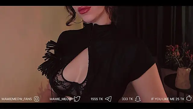 Snapshot of Mamiemeow chatting on April 3, 2026, 1:53 pm Mamiemeow online show from April 3, 2026, 1:53 pm
