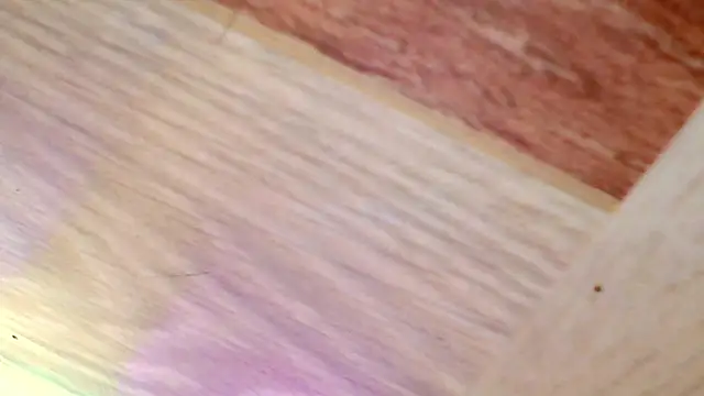 Snapshot of shannon_kinne_ chatting on March 31, 2026, 4:40 pm shannon kinne online show from March 31, 2026, 4:40 pm