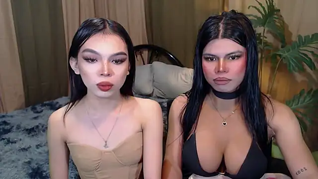 TWINKTRANSSHANEL online show from October 17, 2025, 9:34 am