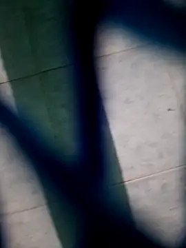 Neilhot98 online show from November 16, 2025, 7:03 am