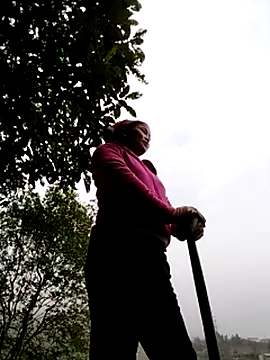 sumaybae online show from December 5, 2025, 8:23 am