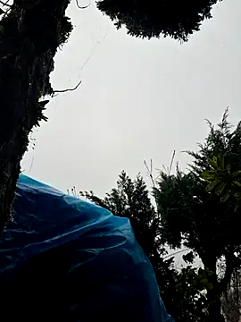 miomio-12 online show from November 2, 2025, 1:35 pm