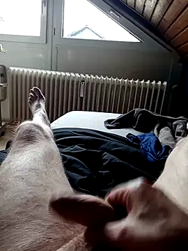 Snapshot of ImperlPerverso59 chatting on October 7, 2025, 12:24 pm ImperlPerverso59 online show from October 7, 2025, 12:24 pm