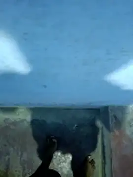 hemcrazy online show from January 8, 2026, 5:15 pm