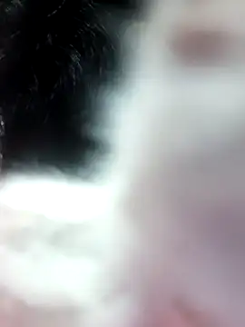 Snapshot of anjali2351 chatting on February 10, 2026, 2:21 pm anjali2351 online show from February 10, 2026, 2:21 pm