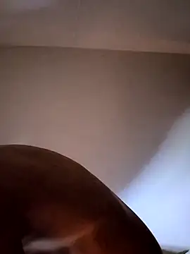 felipelon07 online show from November 28, 2025, 5:10 am