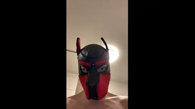 Snapshot of MolleDolle chatting on December 21, 2025, 9:22 pm MolleDolle online show from December 21, 2025, 9:22 pm