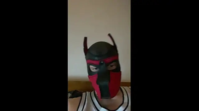 Snapshot of MolleDolle chatting on February 2, 2026, 7:12 pm MolleDolle online show from February 2, 2026, 7:12 pm