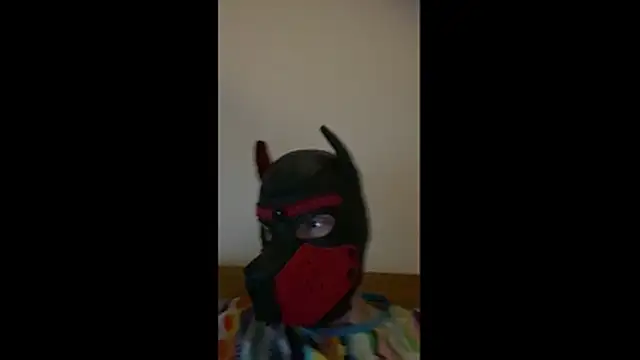 Snapshot of MolleDolle chatting on March 1, 2026, 8:44 pm MolleDolle online show from March 1, 2026, 8:44 pm