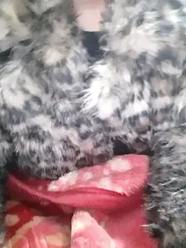 Snapshot of Mahi677 chatting on January 8, 2026, 6:43 pm Mahi677 online show from January 8, 2026, 6:43 pm