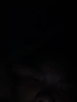 hello-cute online show from December 16, 2025, 4:12 pm