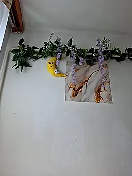 Snapshot of Nika_aa chatting on July 21, 2026, 7:54 am Nika aa online show from July 21, 2026, 7:54 am
