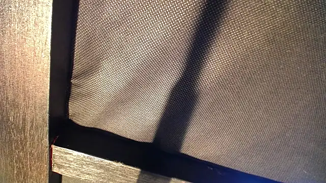 celeste solis online show from November 24, 2025, 8:19 pm