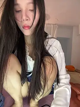 Snapshot of Mmo66 chatting on February 12, 2026, 8:20 am Mmo66 online show from February 12, 2026, 8:20 am