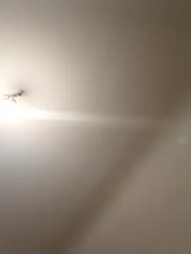 Snapshot of labellerose chatting on January 9, 2026, 5:59 pm labellerose online show from January 9, 2026, 5:59 pm