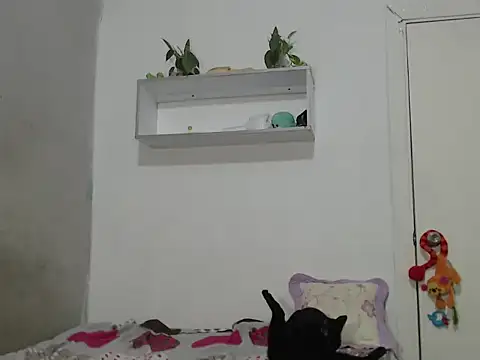 Snapshot of Renata_Rivas chatting on February 25, 2026, 3:49 am Renata Rivas online show from February 25, 2026, 3:49 am