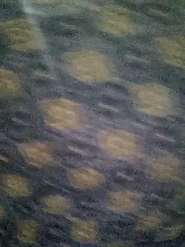 Tanha18 online show from December 5, 2025, 6:59 pm