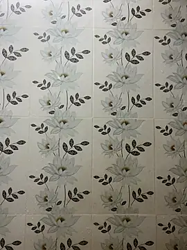 Nipa59 online show from November 7, 2025, 7:52 am