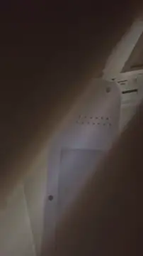 bunnydam online show from November 6, 2025, 2:40 pm