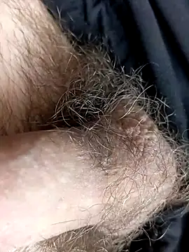 Snapshot of szabi1995 chatting on February 12, 2026, 9:37 am szabi1995 online show from February 12, 2026, 9:37 am