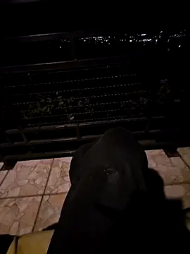 Snapshot of SamoSkupo chatting on October 29, 2025, 8:10 pm SamoSkupo online show from October 29, 2025, 8:10 pm