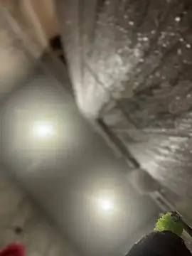 Snapshot of queenkelly1234 chatting on February 16, 2026, 12:56 pm queenkelly1234 online show from February 16, 2026, 12:56 pm