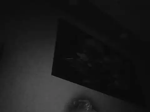 Snapshot of cute_erkek34 chatting on January 19, 2026, 12:58 am cute erkek34 online show from January 19, 2026, 12:58 am