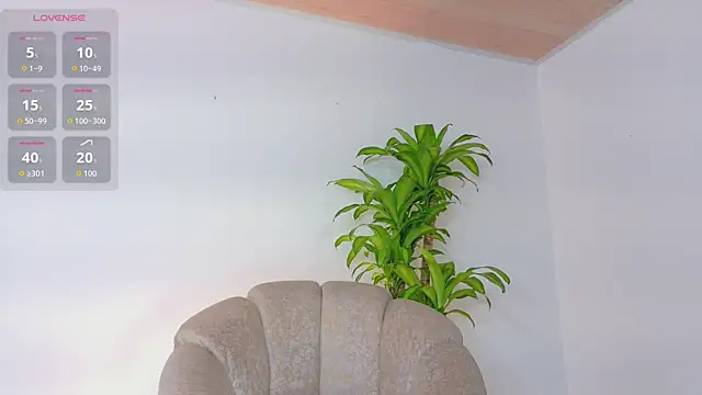 Axel Cody  online show from May 25, 2026, 1:28 pm