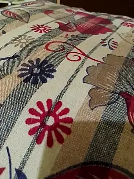 Snapshot of svk_05 chatting on October 18, 2025, 12:17 pm svk 05 online show from October 18, 2025, 12:17 pm