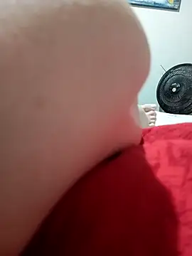 Taradinha pelosogro online show from March 23, 2026, 4:00 pm