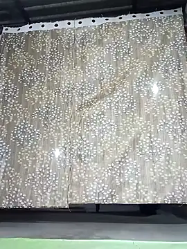 Rajni chauhan online show from November 30, 2025, 3:49 pm