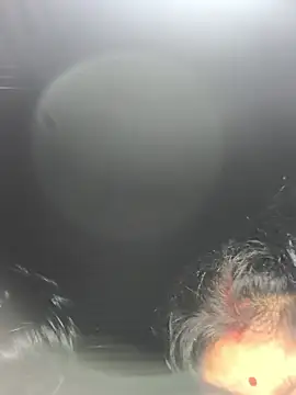 Snapshot of Ragni_bhargav chatting on January 19, 2026, 4:22 pm Ragni bhargav online show from January 19, 2026, 4:22 pm