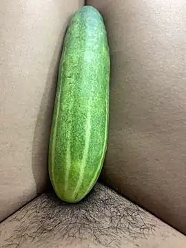 Su-115 online show from November 15, 2025, 9:11 pm